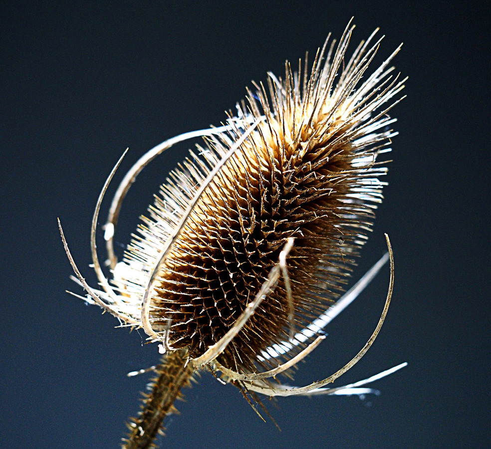 2nd. - Geoff Hildred